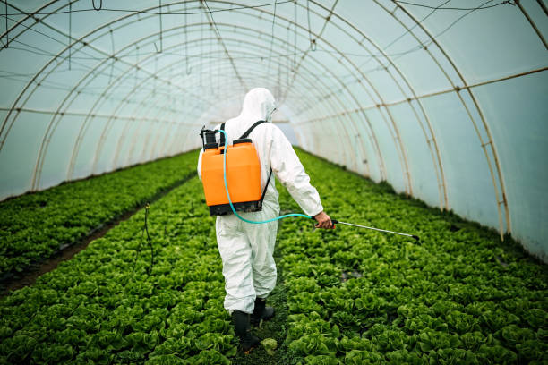 Best Pest Control Near Me in Happy Valley, CA