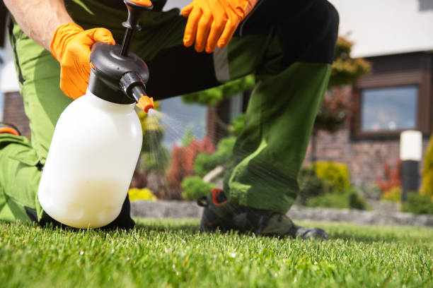 Best Exterminator Services  in Happy Valley, CA