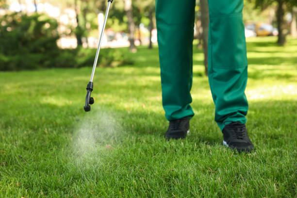 Best Cockroach Control Services  in Happy Valley, CA