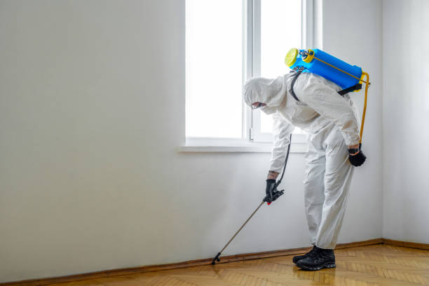 Best Best Pest Control Near Me  in Happy Valley, CA