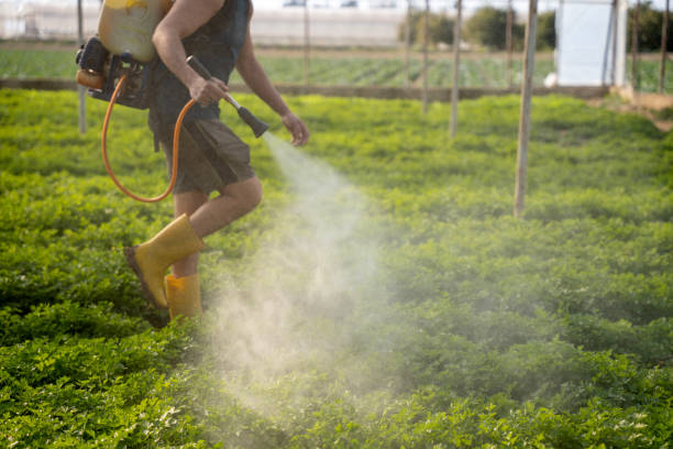 Pest Control Cost in Happy Valley, CA