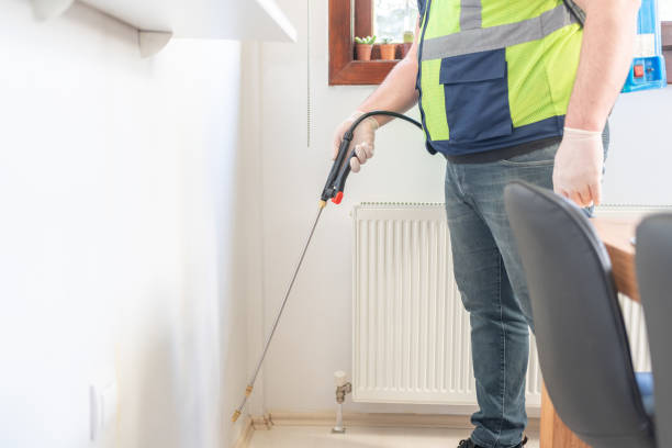 Wasp Removal Services in Happy Valley, CA