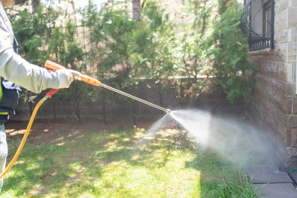 Best Wasp Removal Services  in Happy Valley, CA