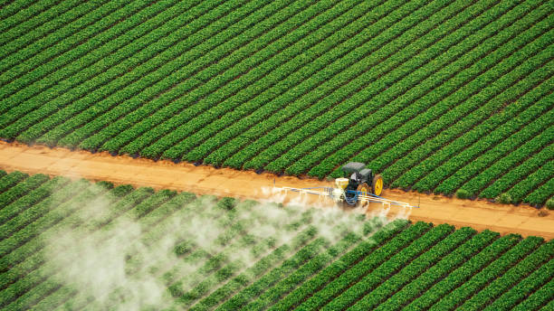 Best Pest Removal Services  in Happy Valley, CA