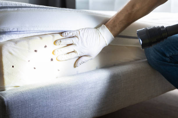 Best Pest Prevention Services  in Happy Valley, CA