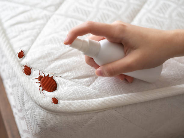  Happy Valley, CA Pest Control Pros